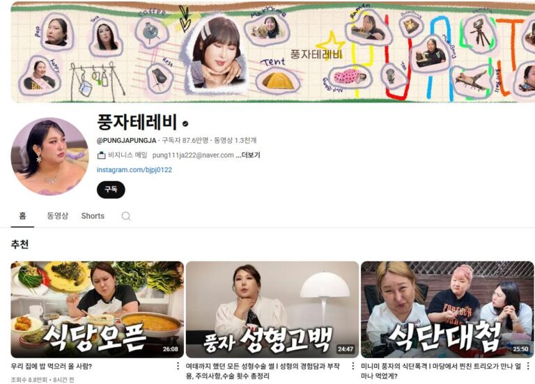 풍자