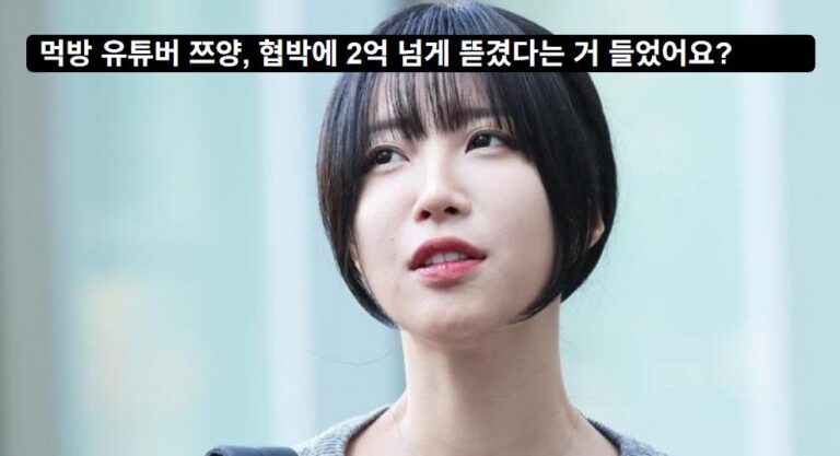 쯔양 협박해 2억 갈취한 여성 2명 : 징역 1년 구형