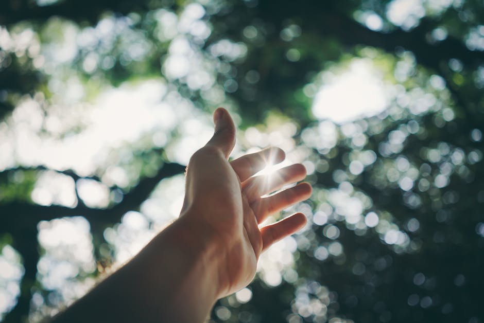 A hand reaching towards the sky, capturing sunlight in a lush forest setting.