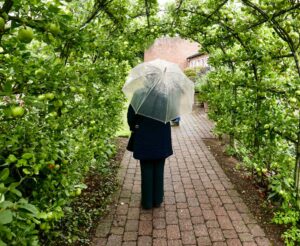 Free stock photo of rain shoer, tunnel, u brella