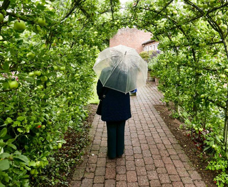 Free stock photo of rain shoer, tunnel, u brella