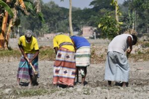 Free stock photo of farmer at work