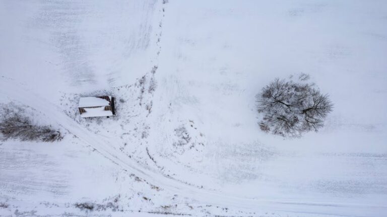 Aerial view of a snowy field with a lone tree and a small cabin.