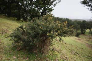 Free stock photo of 2025 travel, adventure, atlantic coast