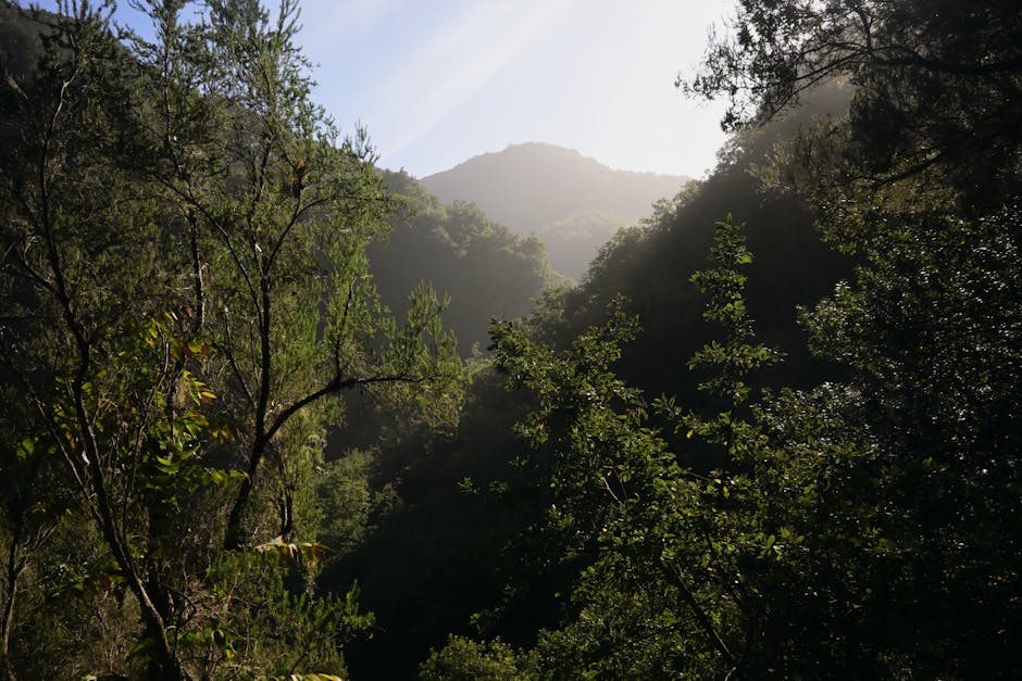 Free stock photo of 2025 travel, adventure, atlantic coast