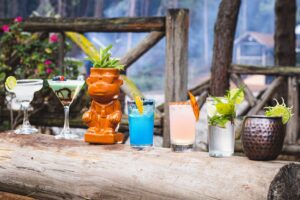 Vibrant selection of cocktails displayed on a rustic log at an outdoor setting, perfect for summer gatherings.