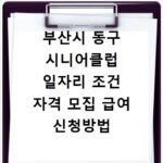 부산시 동구 시니어클럽 일자리 조건 자격 모집 급여 신청방법