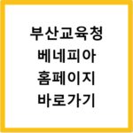부산교육청 베네피아 홈페이지 바로가기