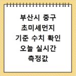 부산시 중구 초미세먼지 기준 수치 확인 오늘 실시간 측정값 확인하기