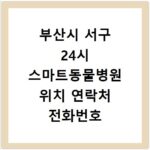 부산시 서구 24시 스마트동물병원 위치 연락처 전화번호