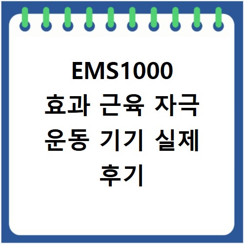EMS1000 효과 근육 자극 운동 기기 실제 후기