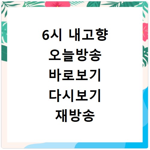 6시 내고향 오늘방송 바로보기 다시보기 재방송 보기