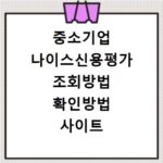 중소기업 나이스신용평가 조회방법 확인방법 사이트 홈페이지 바로가기