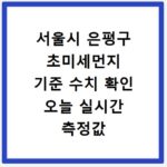 서울시 은평구 초미세먼지 기준 수치 확인 오늘 실시간 측정값 확인하기
