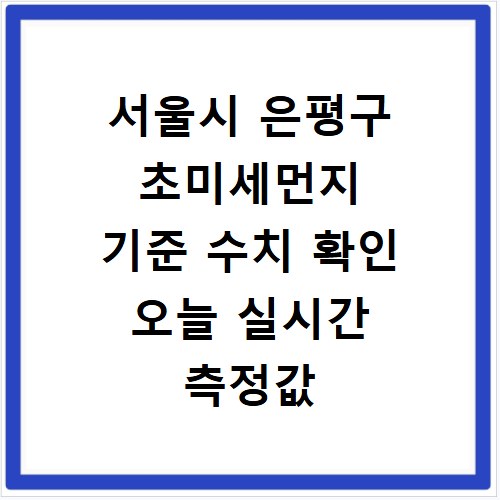 서울시 은평구 초미세먼지 기준 수치 확인 오늘 실시간 측정값 확인하기