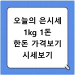 오늘의 은시세 1kg 1돈 한돈 가격보기 시세보기