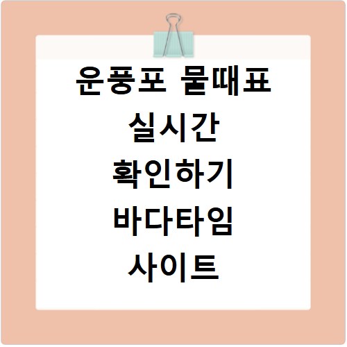 운풍포 물때표 실시간 확인하기 바다타임 사이트 바로가기