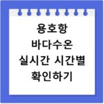용호항 바다수온 실시간 시간별 확인하기