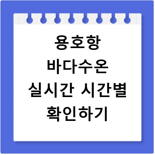 용호항 바다수온 실시간 시간별 확인하기