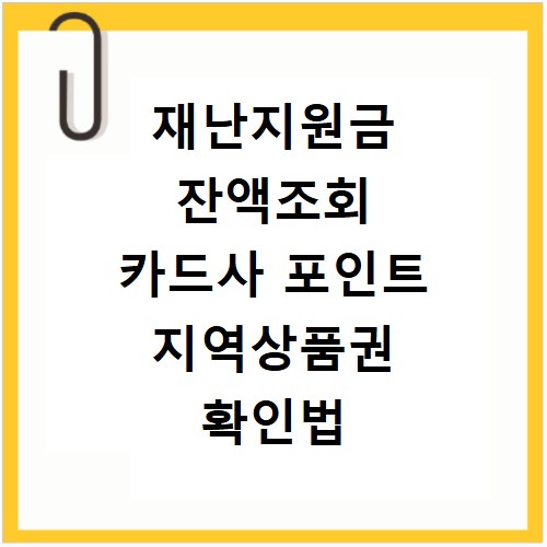 재난지원금 잔액조회 카드사 포인트 지역상품권 확인법