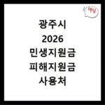 광주시 2026 민생지원금 피해지원금 사용처 총정리