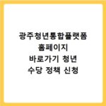 광주청년통합플랫폼 홈페이지 바로가기 청년 수당 정책 신청