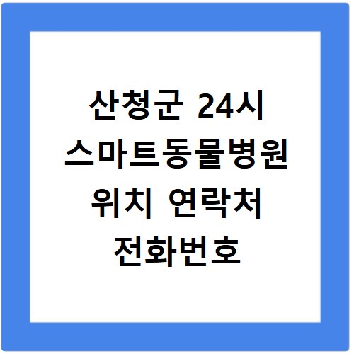 산청군 24시 스마트동물병원 위치 연락처 전화번호
