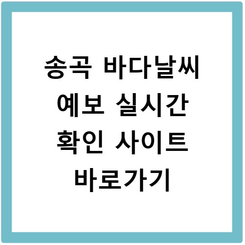 송곡 바다날씨 예보 실시간 확인 사이트 바로가기