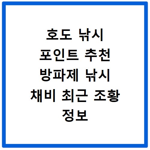 호도 낚시 포인트 추천 방파제 낚시 채비 최근 조황 정보