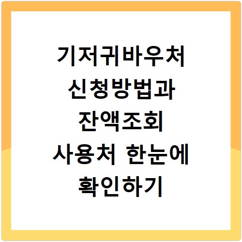 기저귀바우처 신청방법과 잔액조회 사용처 한눈에 확인하기