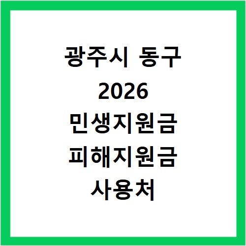 광주시 동구 2026 민생지원금 피해지원금 사용처 총정리