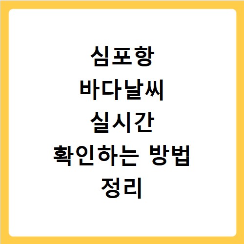 심포항 바다날씨 실시간 확인하는 방법 정리