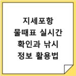 지세포항 물때표 실시간 확인과 낚시 정보 활용법