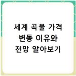 세계 곡물 가격 변동 이유와 전망 알아보기