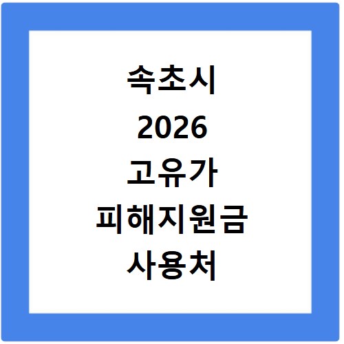 속초시 2026 고유가 피해지원금 사용처 총정리