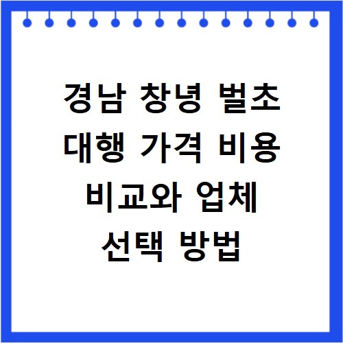 경남 창녕 벌초 대행 가격 비용 비교와 업체 선택 방법