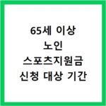 65세 이상 노인 스포츠지원금 신청 대상 기간