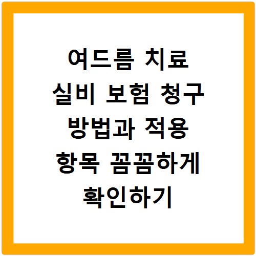 여드름 치료 실비 보험 청구 방법과 적용 항목 꼼꼼하게 확인하기