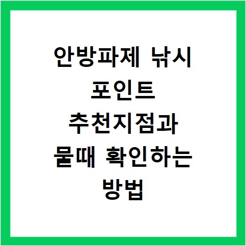 안방파제 낚시 포인트 추천지점과 물때 확인하는 방법