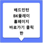 배드민턴 BK플레이 홈페이지 바로가기 클릭 한 번으로 확인하기