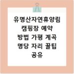 부산방과후지원센터 홈페이지 바로가기 이용 방법과 신청 절차 총정리