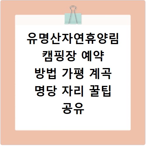 부산방과후지원센터 홈페이지 바로가기 이용 방법과 신청 절차 총정리