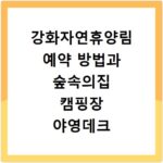 강화자연휴양림 예약 방법과 숲속의집 캠핑장 야영데크 이용 꿀팁 정리