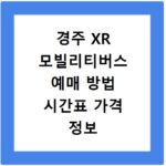 경주 XR 모빌리티버스 예매 방법 시간표 가격 정보 확인하고 예약하기