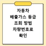 자동차 배출가스 등급 조회 방법 차량번호로 확인