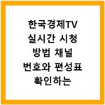 한국경제TV 실시간 시청 방법 채널 번호와 편성표 확인하는 법