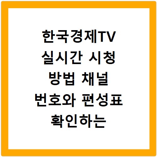 한국경제TV 실시간 시청 방법 채널 번호와 편성표 확인하는 법