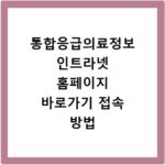 통합응급의료정보 인트라넷 홈페이지 바로가기 접속 방법 쉽게 따라하기