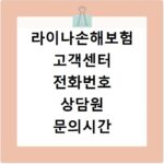 라이나손해보험 고객센터 전화번호 상담원 문의시간
