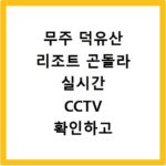 무주 덕유산 리조트 곤돌라 실시간 CCTV 확인하고 대기 없이 타는 법